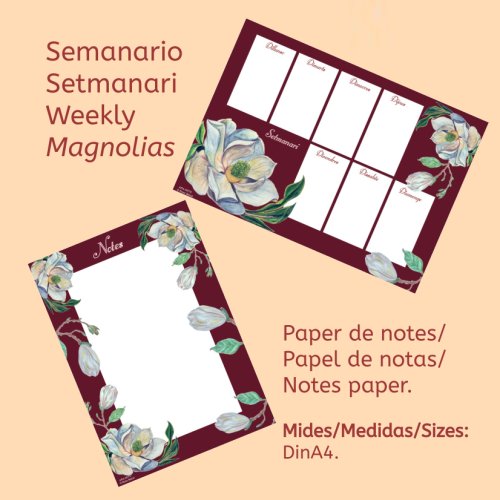 Paper de notes i setmanari (Digital)