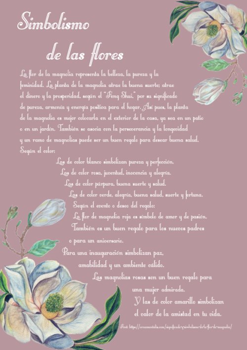Agenda perpetua Magnolias (DISPONIBLE en AMAZON)