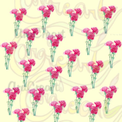 Estampats de clavells / Estampados de claveles / Carnation floral patterns (Digital)