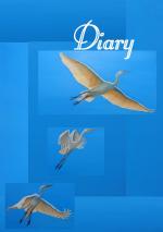 Diary Egretts