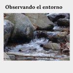 Retos para escribir relatos cortos ilustrados (en español) (Digital)