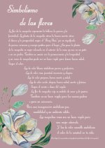 Agenda perpetua Magnolias (DISPONIBLE en AMAZON)
