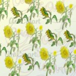 Estampats florals / Estampados florales / Floral patterns (Digital)