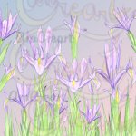 Estampats florals / Estampados florales / Floral patterns (Digital)